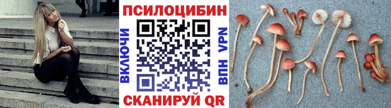 Псилоцибиновые грибы Psilocybe Саки