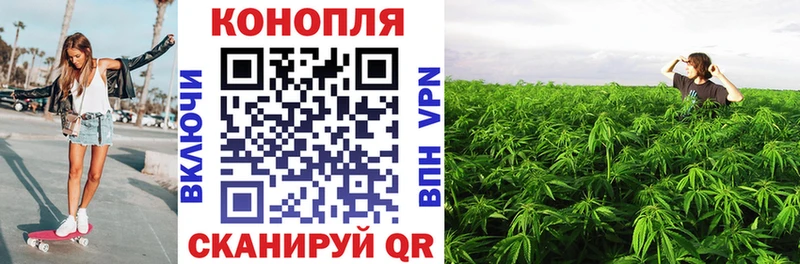 как найти Саки Конопля план